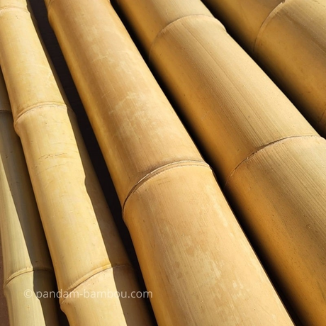 Tronçons de bambou sec