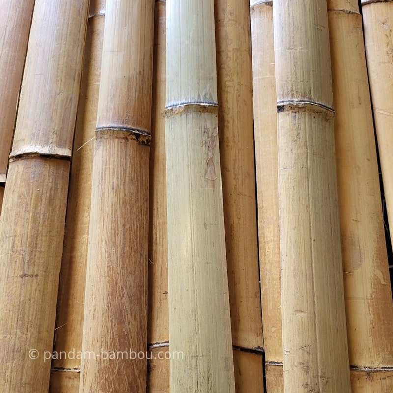 lamelle de bambou