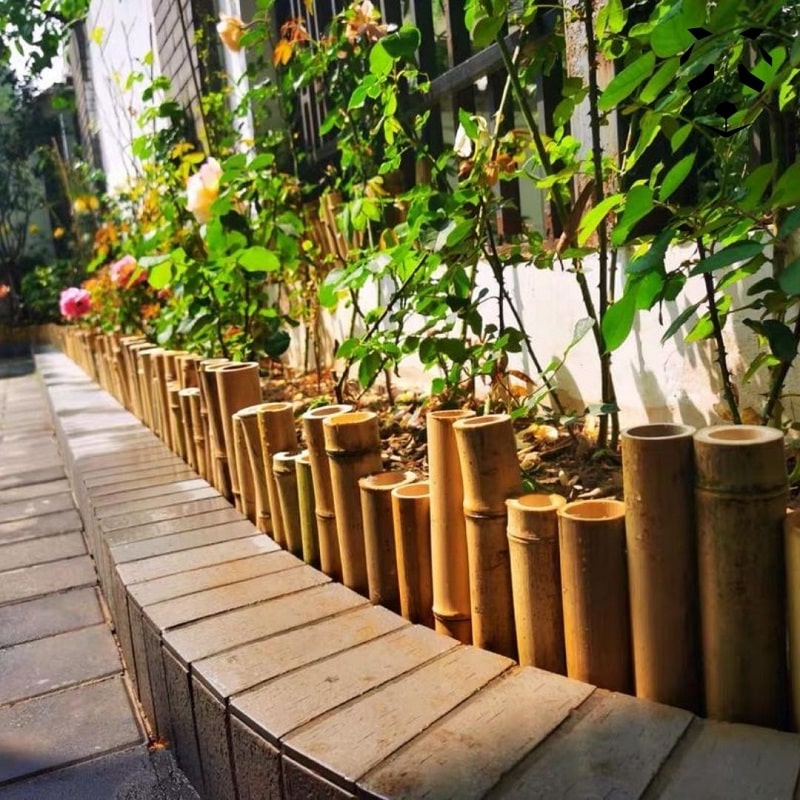 tiges de bambou sec